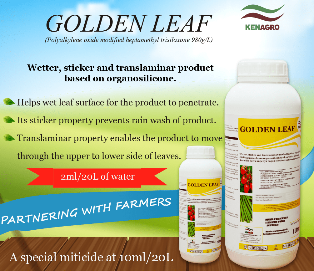 Golden Leaf Agroduka Limited