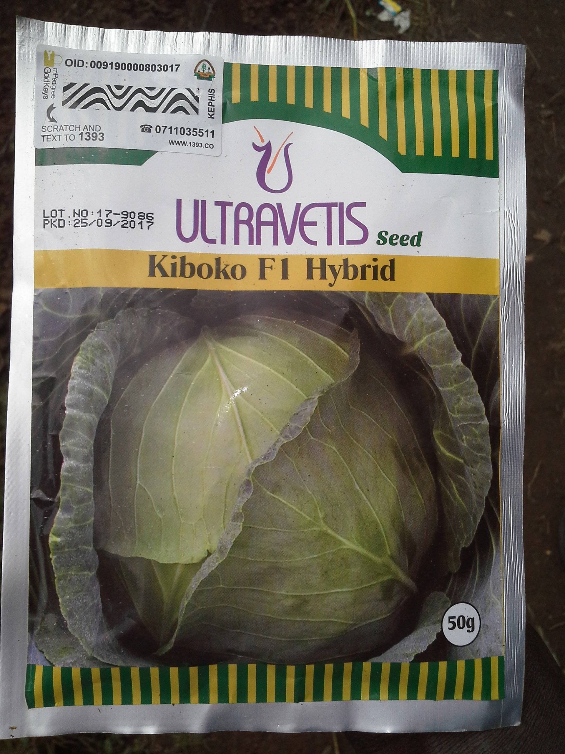 Kiboko F1 Cabbage | Agroduka Limited