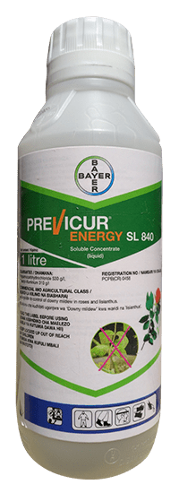 Previcur Energy SL840 | Agroduka Limited