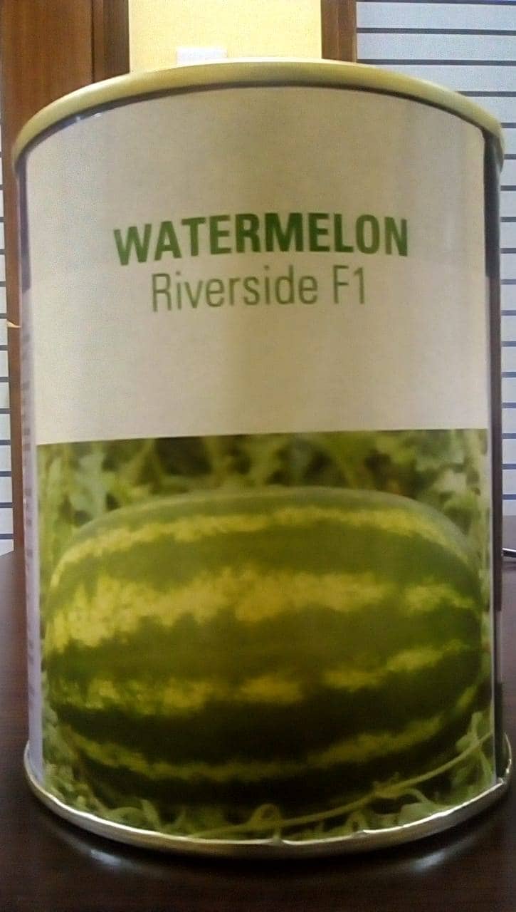 Riverside F1 50 Grams
