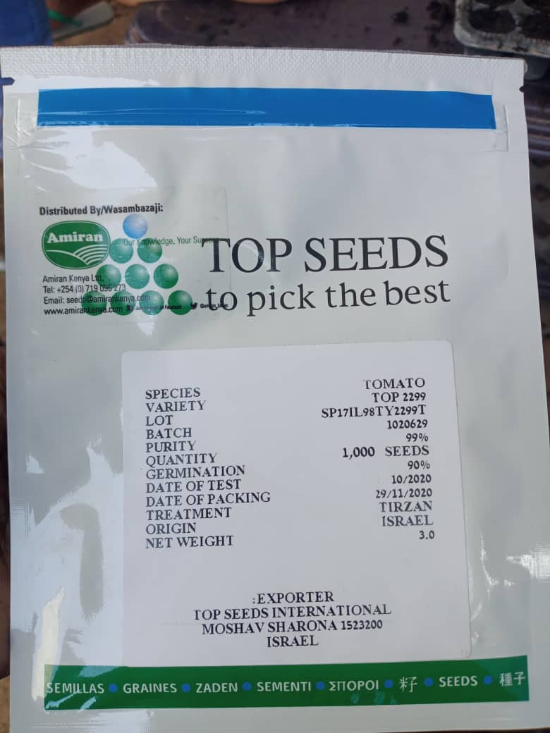 Top 2299 (Zippy) 500 Seeds