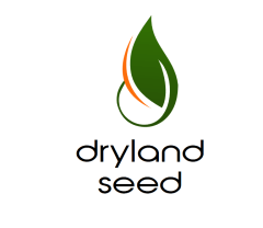 Dryland seeds Ltd