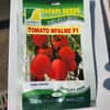 Tomato Mfalme F1