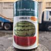 Watermelon Jubilee F1