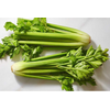 Celery