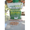 Yellow Beans KAT B1 - 2Kg