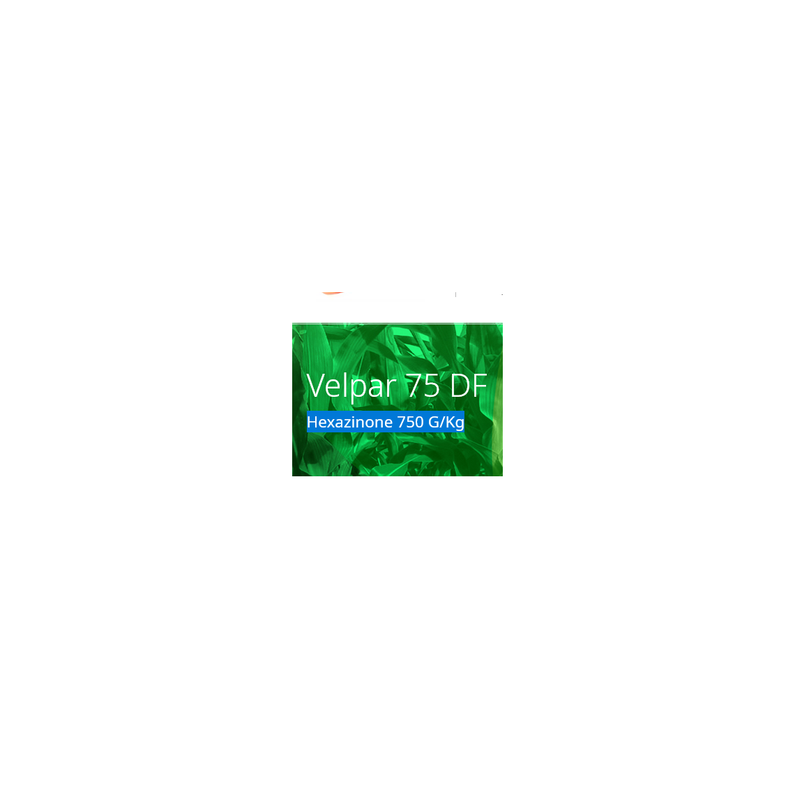 Crop Production :: Herbicides :: Velpar® 75 DF - Agroduka