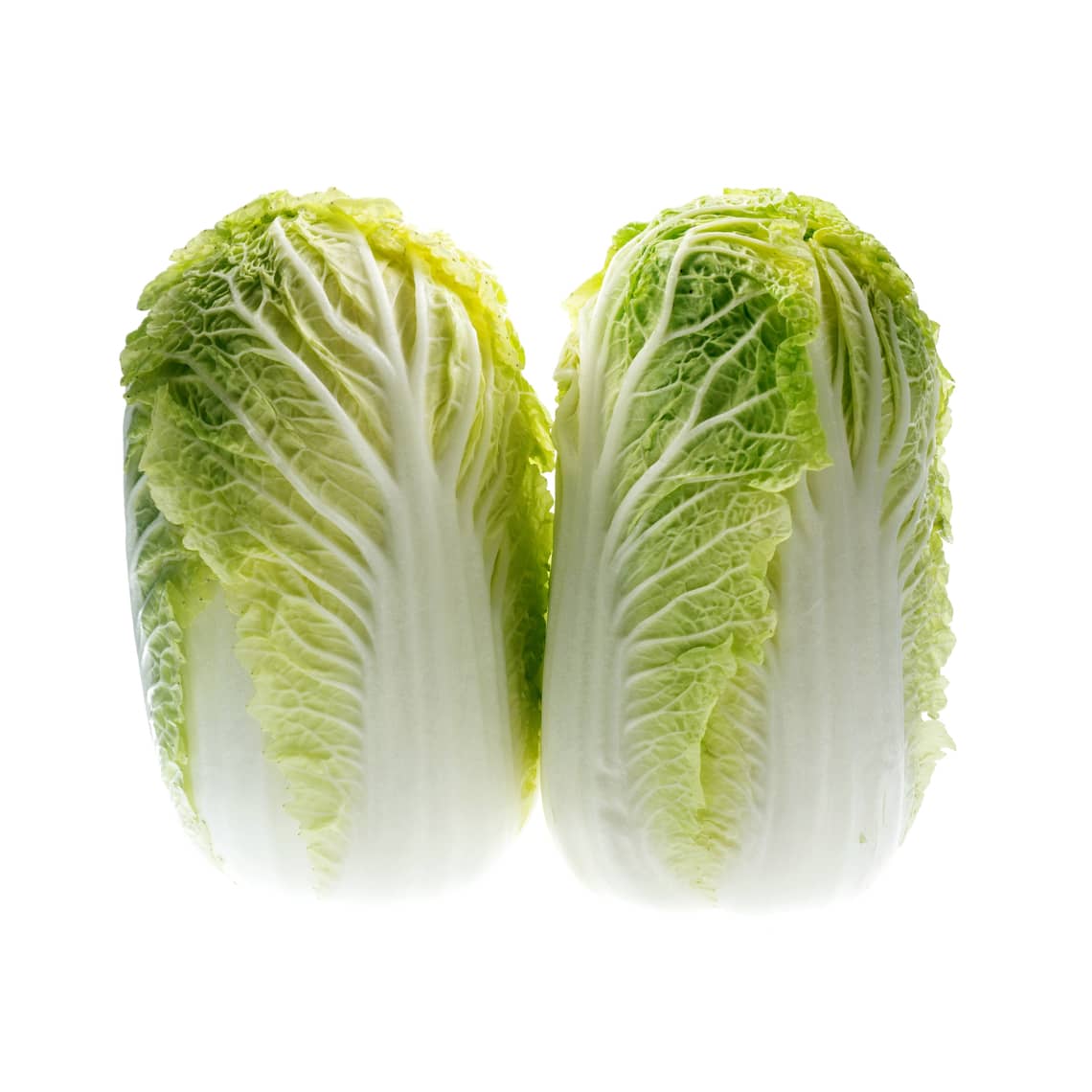 Chinese Cabbage | Agroduka Limited