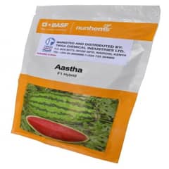 Aastha F1 Watermelon -5000 Seeds