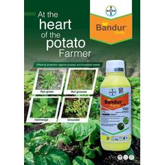 Bandur Forte SC 600