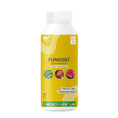 Fungisei -1 Litre