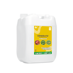 Venerate