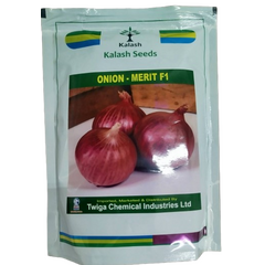 Onion Merit F1