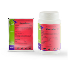 Macrolan WS