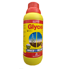 Glycel 480 SL