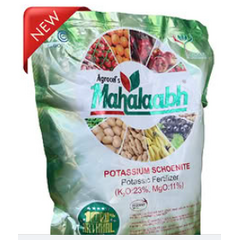 Mahalaabh