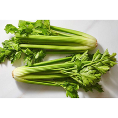 Celery