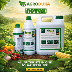 Novax