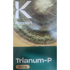 Trianum- P