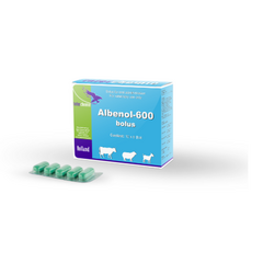 Albenol-600 Bolus