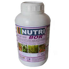 Nutri Bor