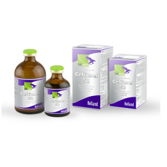 Ceftionel- 50 -100mL