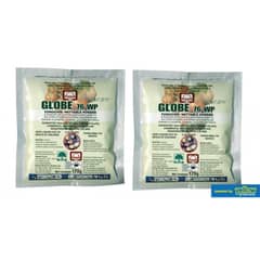 Globe 76WP