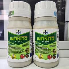 infinito