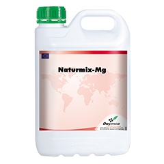 Natrumix MG