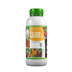 Calibor