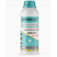 Keepwatch 450 CS