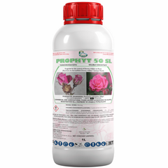 Prophyt