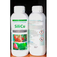 Silicu -1L