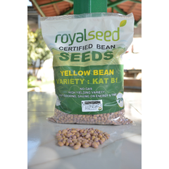 Yellow Beans KAT B1 - 2Kg