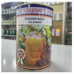 Fodder Beet Feldherr