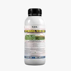 Synisal 240 SC