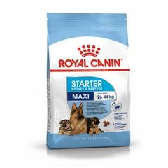 Royal Canin Maxi - Starter Mother and Babydog