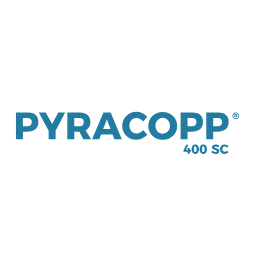 Pyracopp | Fungicide | Agroduka
