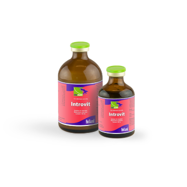 Animal Health :: Vitamins :: Introvit INJ - Agroduka