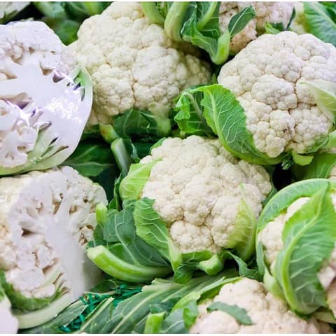 All vendors :: Simlaw Seeds/Kenya Seed - Agroduka