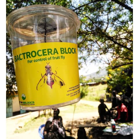 Crop Production :: Insect Traps - Agroduka