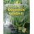 Collard Kanga F1