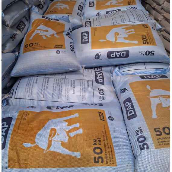 DAP (KPLUSS) - 50Kg