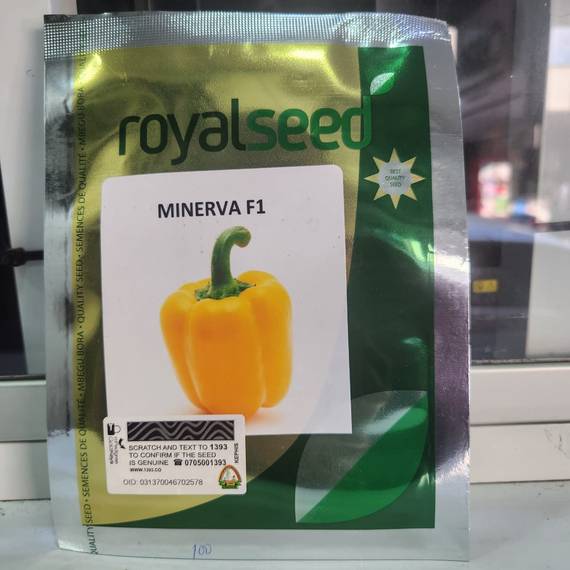 Minerva