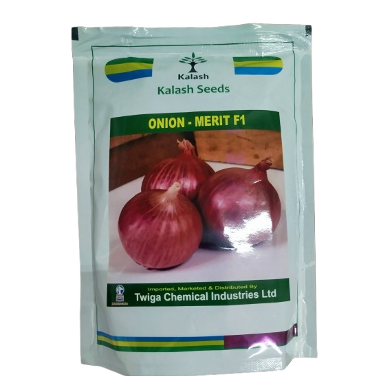 Onion Merit F1