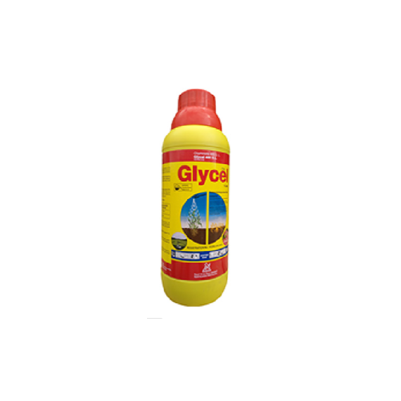 Glycel 480 SL