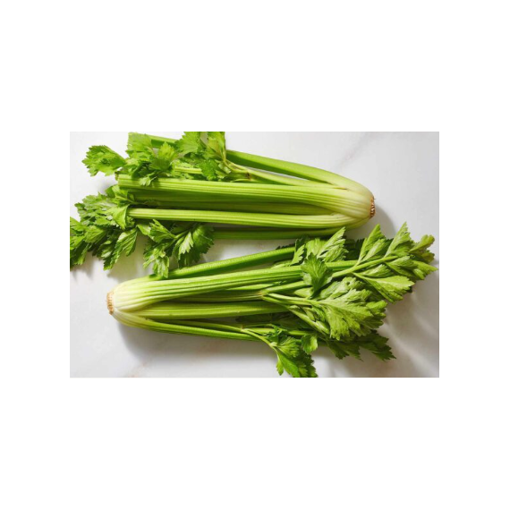 Celery