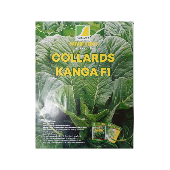 Collard Kanga F1
