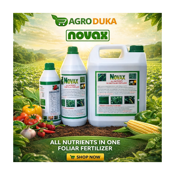 Novax