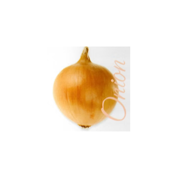 Onion Ada F1